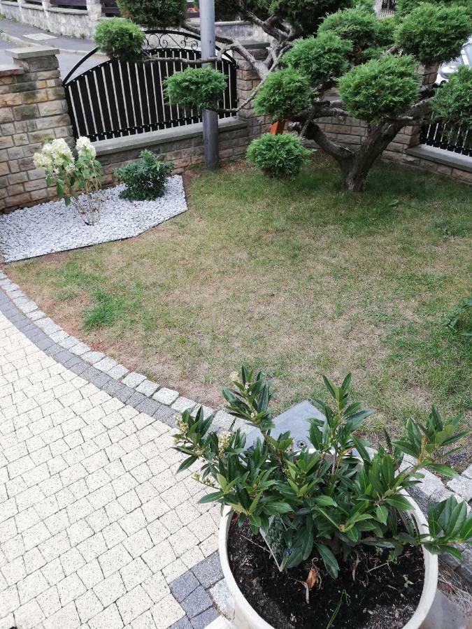 Apartament Bardzo Popularny Boleslawiec  Exterior foto